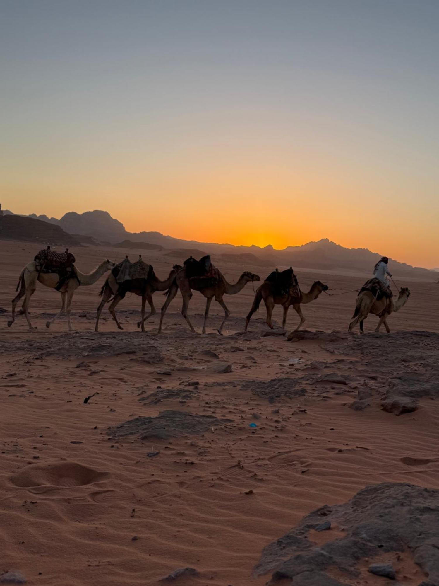 Faisal Wadi Rum Camp Eksteriør bilde